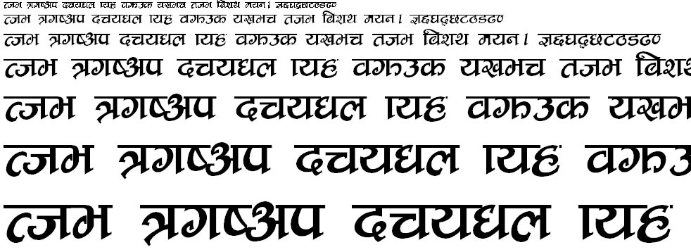 New Times Hindi Font